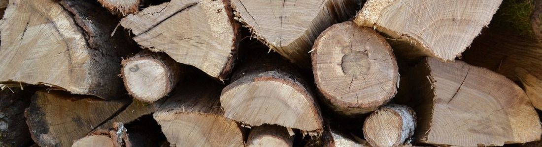 Le chauffage au bois, une solution économique et écologique - Bien Chez Moi