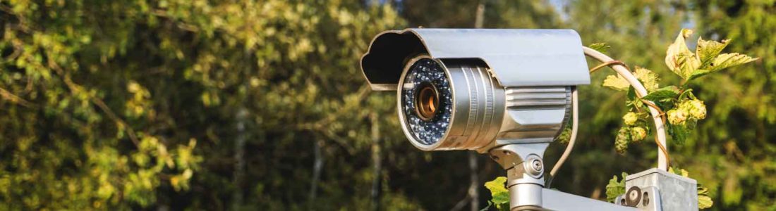 Caméra de surveillance jardin